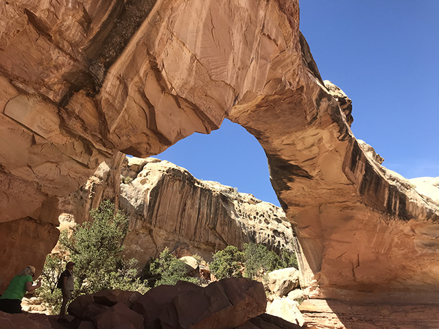 Hickman Bridge a great hike for kids in Capitol Reef