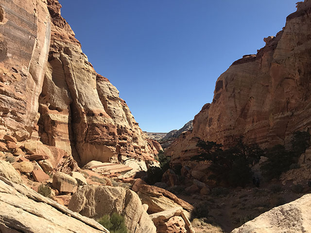 Cohab Canyon kid-friendly hike in Capitol Reef National Park