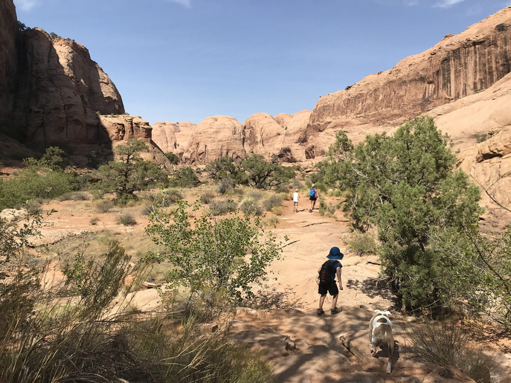 Kids hiking in Grandstaff Canyon.